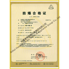 Explosion proof qualification certificate for two thermocouple