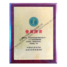 Chinese Modern Culture Association corporate culture Specialized Committee member certificate