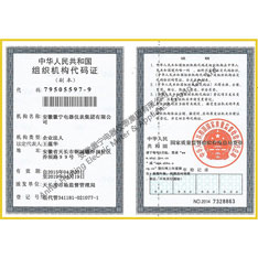 Organization code certificate (copy)