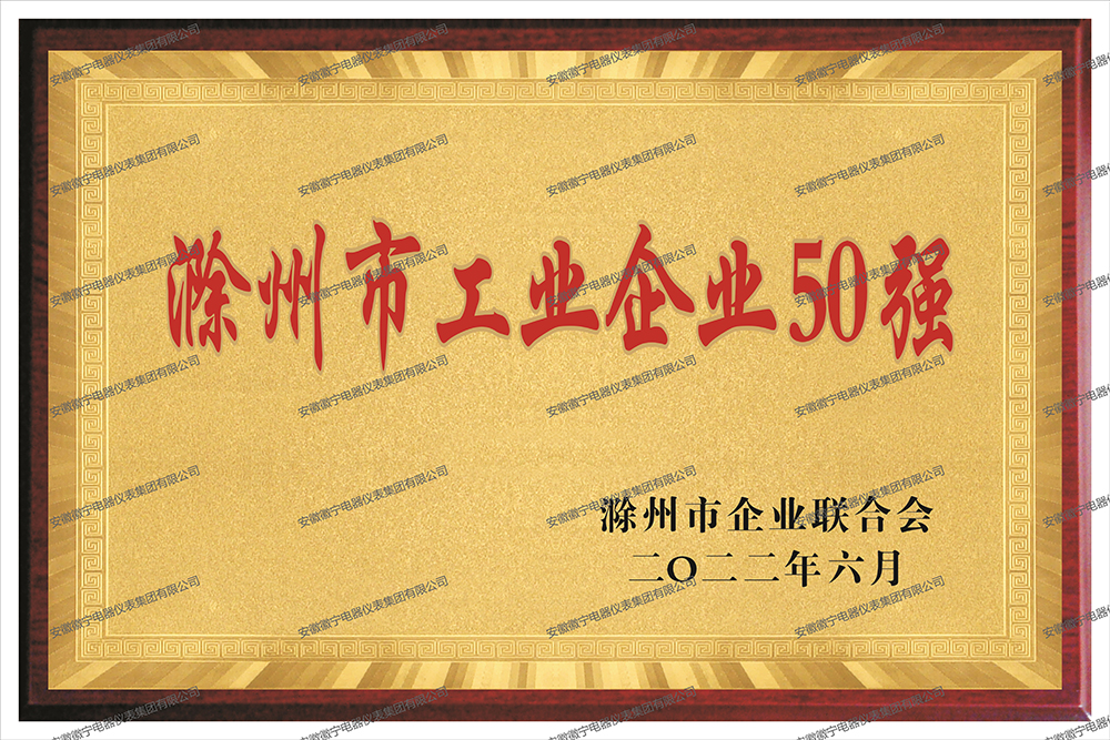 滁州市工业企业50强