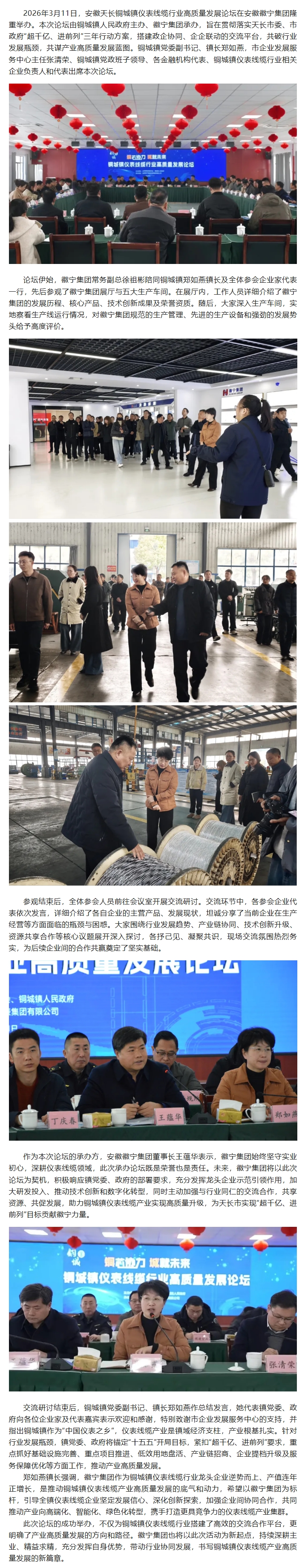 天长市铜城镇仪表线缆行业高质量发展论坛在安徽徽宁集团成功举办.jpeg